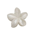 Pince à cheveux blanche en forme de fleur – accessoire élégant pour des coiffures raffinées